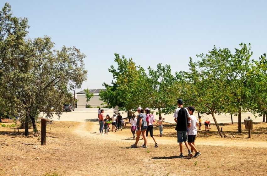  Proença volta a dinamizar Grandes Férias com Ciência, Desporto e Cultura